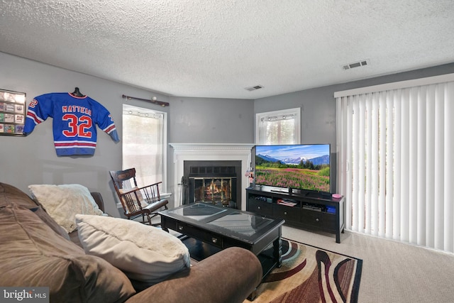 11590 Mohican Rd, Woodbridge, VA 22192 - carpeted living room with a glass covered fireplace, a textured ceiling, and healthy amount of natural light