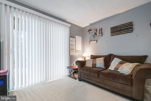 11590 Mohican Rd, Woodbridge, VA 22192 - living area featuring carpet and a textured ceiling