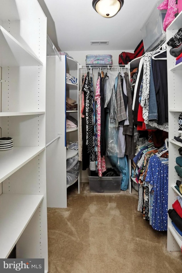 126 Fairbrook Dr, Gilbertsville, PA 19525 - spacious closet featuring carpet floors