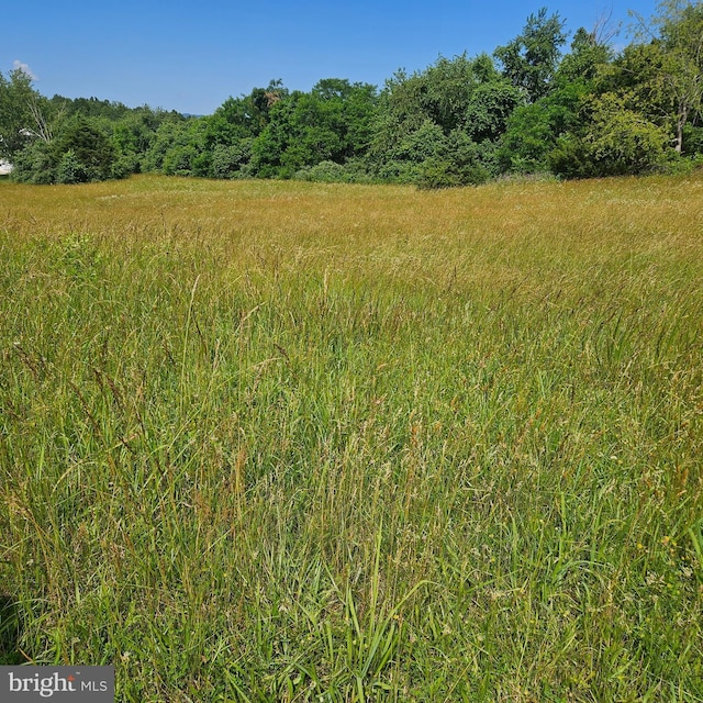 0 Pear Blossom Ln Unit 9, 11, 12, 13, Natural Bridge, VA 24578