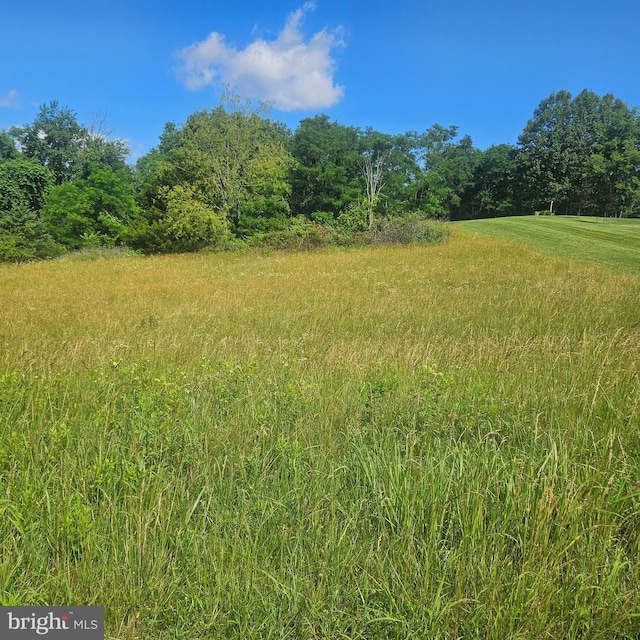 0 Pear Blossom Ln Unit 9, 11, 12, 13, Natural Bridge, VA 24578