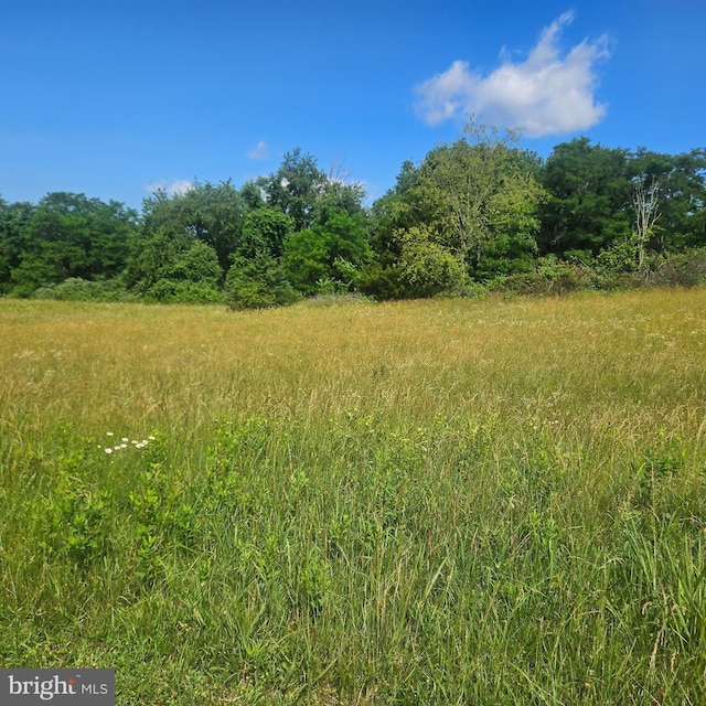 0 Pear Blossom Ln Unit 9, 11, 12, 13, Natural Bridge, VA 24578