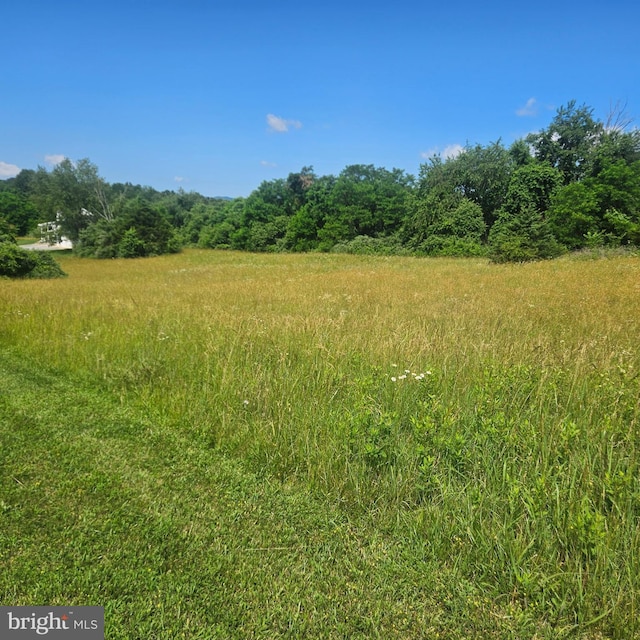 0 Pear Blossom Ln Unit 9, 11, 12, 13, Natural Bridge, VA 24578