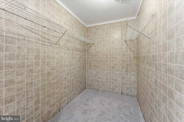 3189 Horseshoe Pike, Honey Brook, PA 19344 - view of storage