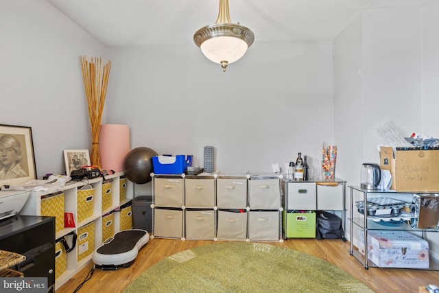 801 Yale Ave Unit 1016, Swarthmore, PA 19081 - view of storage area