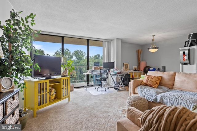 801 Yale Ave Unit 1016, Swarthmore, PA 19081 - carpeted living room featuring a wall of windows, a textured ceiling, and an office area
