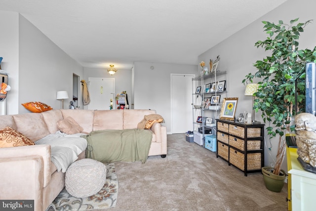 801 Yale Ave Unit 1016, Swarthmore, PA 19081 - view of carpeted living area