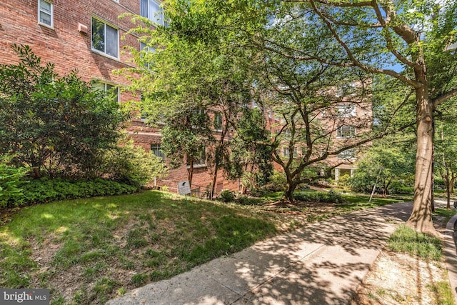 4100 W St NW Unit 306, Washington, DC 20007 - view of yard