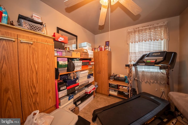5563 Cedonia Ave, Baltimore, MD 21206 - exercise room featuring carpet floors and a ceiling fan