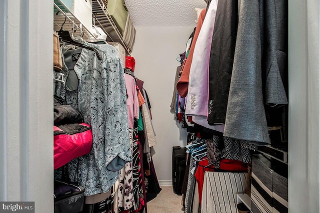 1515 Lincoln Way Unit 304B, Mclean, VA 22102 - spacious closet featuring carpet