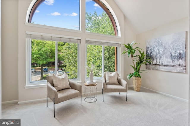 2810 Lee Oaks Pl Unit 302, Falls Church, VA 22046 - living area featuring carpet floors and high vaulted ceiling