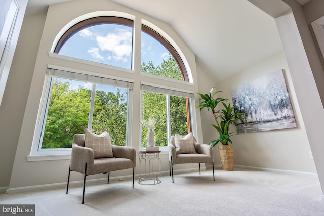 2810 Lee Oaks Pl Unit 302, Falls Church, VA 22046 - living area with carpet floors and high vaulted ceiling