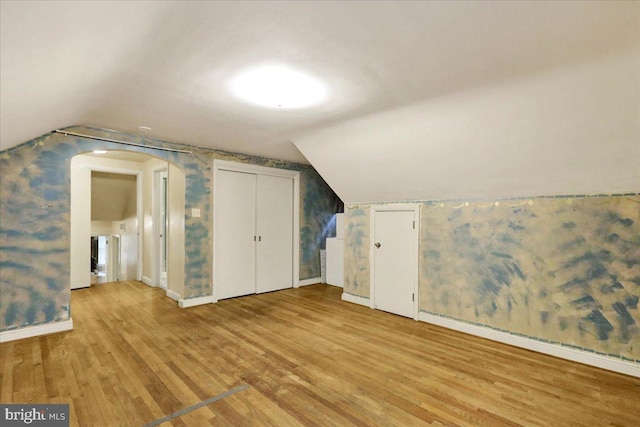3225 Eisenbrown Rd, Reading, PA 19605 - bonus room featuring light wood finished floors, lofted ceiling, arched walkways, and a baseboard radiator