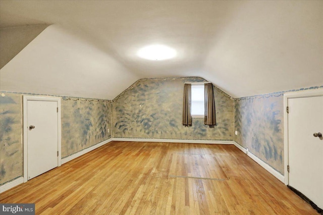 3225 Eisenbrown Rd, Reading, PA 19605 - additional living space with light wood finished floors and vaulted ceiling