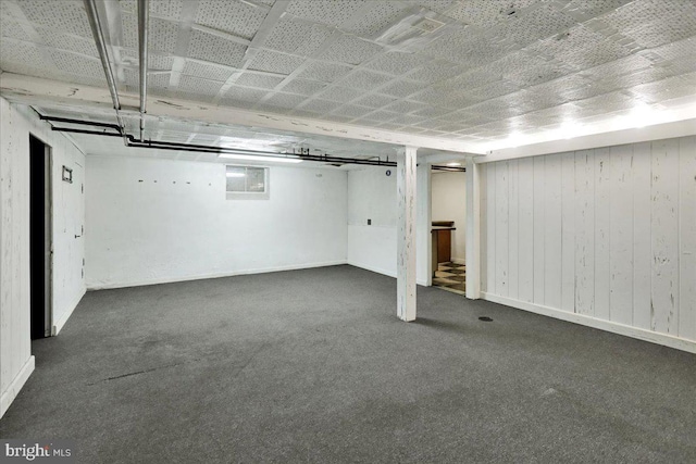 3225 Eisenbrown Rd, Reading, PA 19605 - below grade area featuring carpet flooring and wood walls