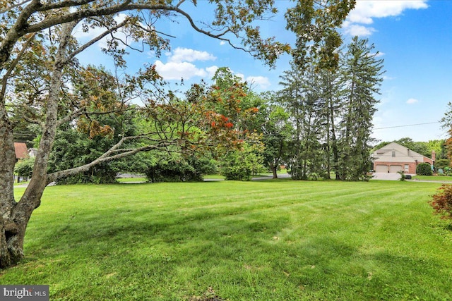 3225 Eisenbrown Rd, Reading, PA 19605 - view of green lawn