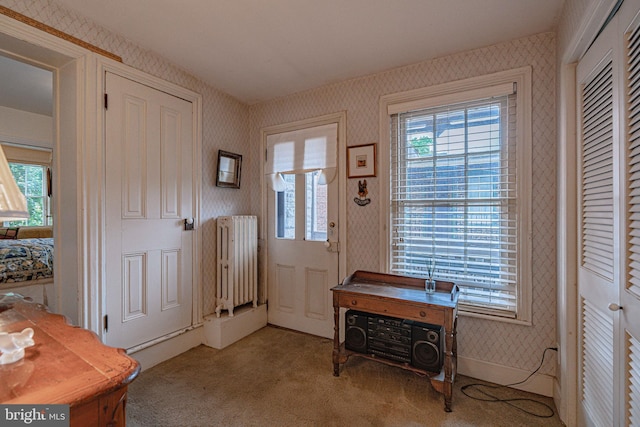 407 N 8th St, Allentown, PA 18102 - entrance foyer with radiator heating unit, wallpapered walls, and light carpet