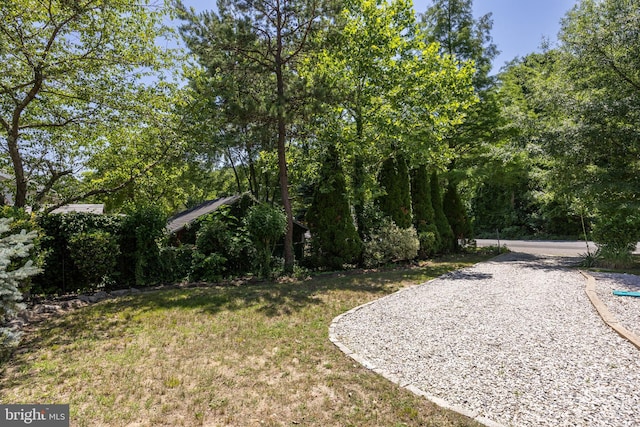 199 Erial, Pine Hill, NJ 08021 - view of grassy yard