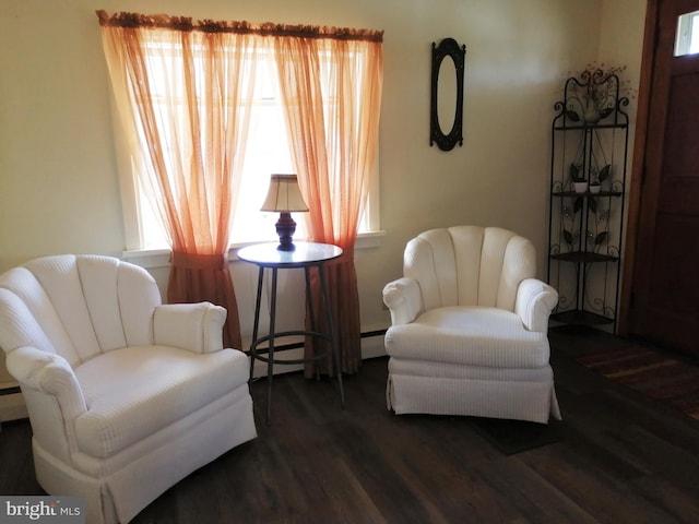 732 Blasser St, Millersburg, PA 17061 - sitting room featuring wood finished floors