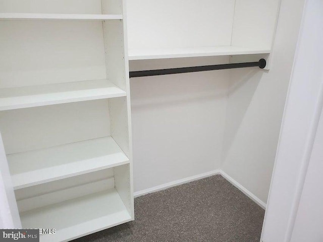 57 Turnberry Cir, Toms River, NJ 08753 - view of walk in closet