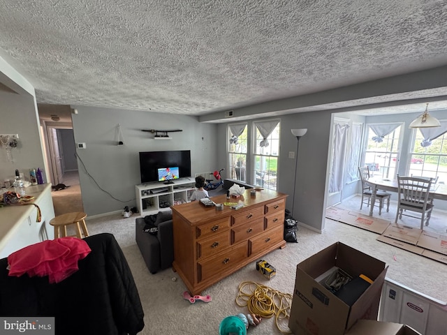 1305 Cedar Crest Ct Unit 1305-D, Edgewood, MD 21040 - carpeted living room with a textured ceiling and baseboards