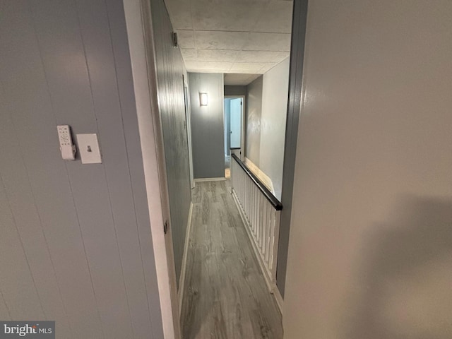 4066 Creston St, Philadelphia, PA 19135 - hallway with wood finished floors and baseboards