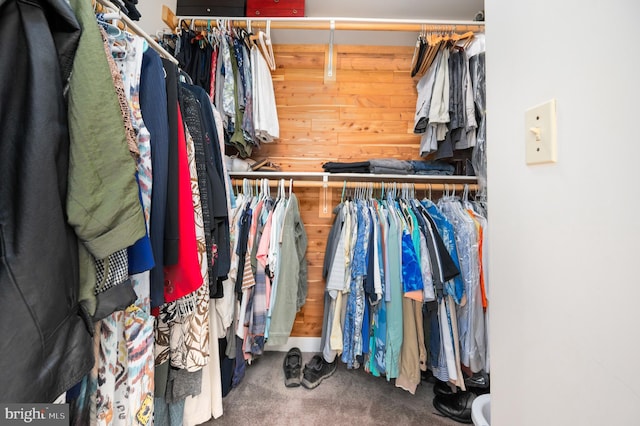 15 Tally Ho Dr, Fredericksburg, VA 22405 - spacious closet with carpet