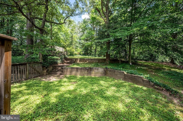 15 Tally Ho Dr, Fredericksburg, VA 22405 - view of grassy yard