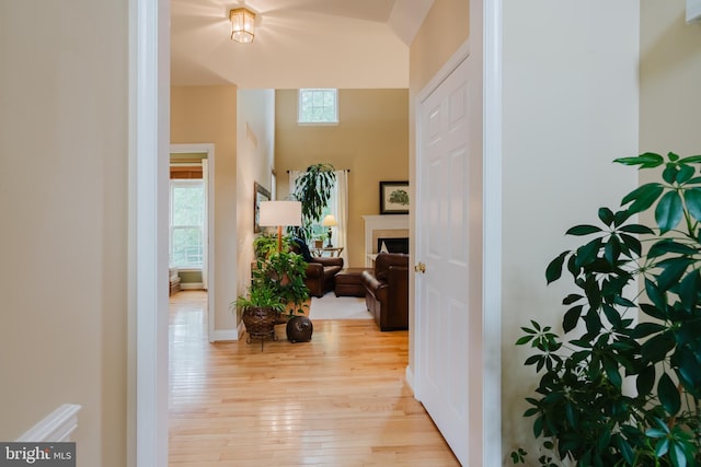 56 Willow Grove Mill Dr, Middletown, DE 19709 - hallway featuring healthy amount of natural light and light wood finished floors
