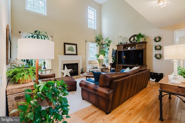 56 Willow Grove Mill Dr, Middletown, DE 19709 - living room featuring a towering ceiling, hardwood / wood-style floors, plenty of natural light, and a fireplace with flush hearth
