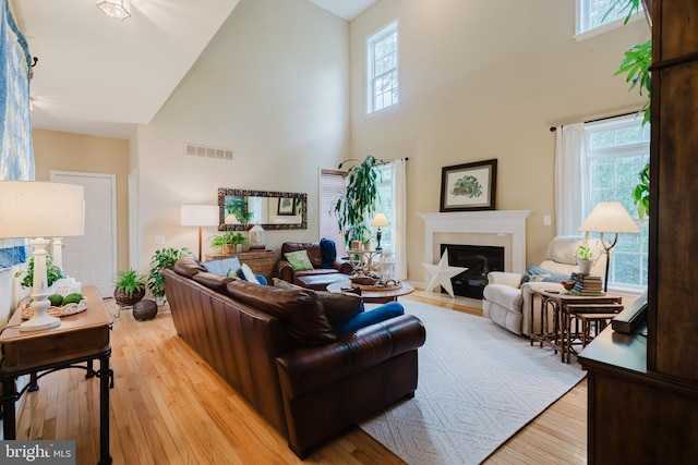 56 Willow Grove Mill Dr, Middletown, DE 19709 - living area featuring a high ceiling, light wood-type flooring, plenty of natural light, and a glass covered fireplace