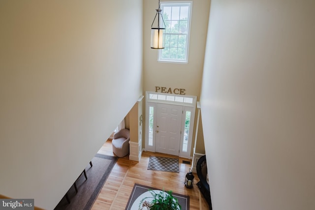 56 Willow Grove Mill Dr, Middletown, DE 19709 - entryway with light wood-style flooring and a high ceiling