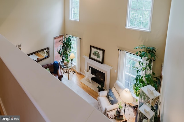 56 Willow Grove Mill Dr, Middletown, DE 19709 - living room with a towering ceiling, wood finished floors, and a high end fireplace