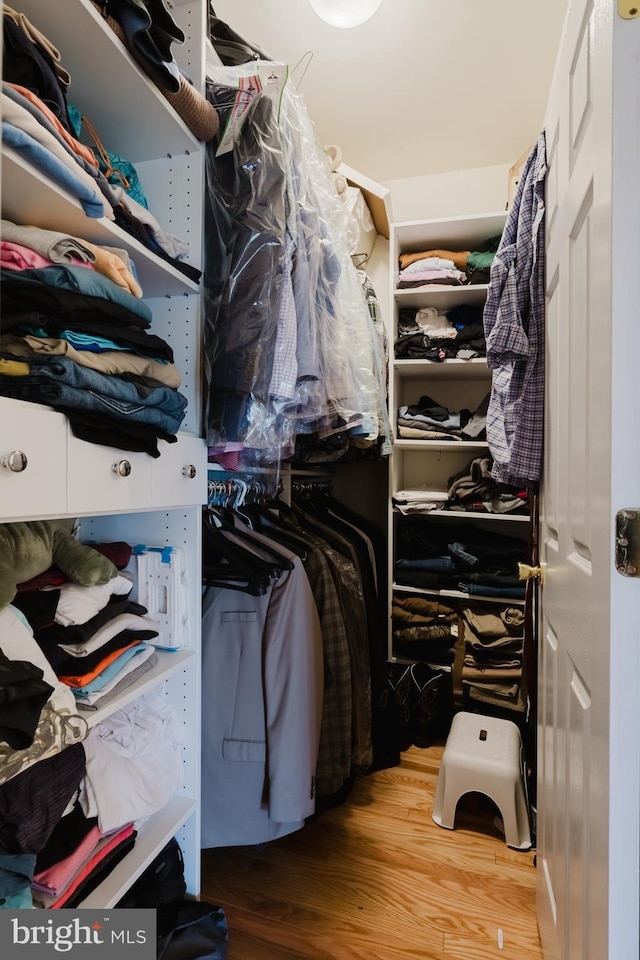56 Willow Grove Mill Dr, Middletown, DE 19709 - walk in closet with wood finished floors