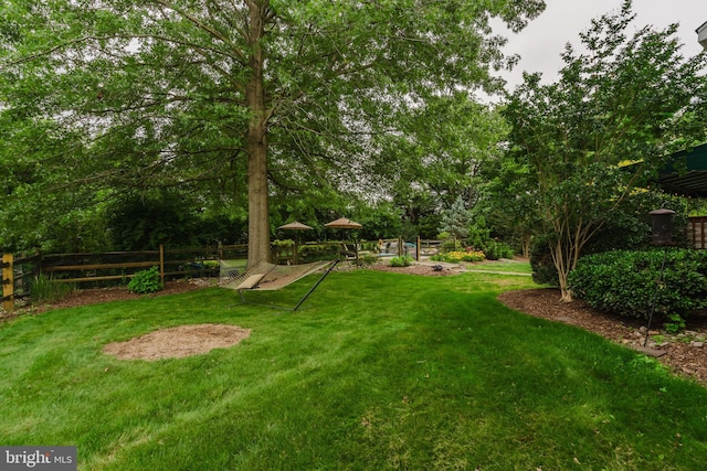 56 Willow Grove Mill Dr, Middletown, DE 19709 - view of yard
