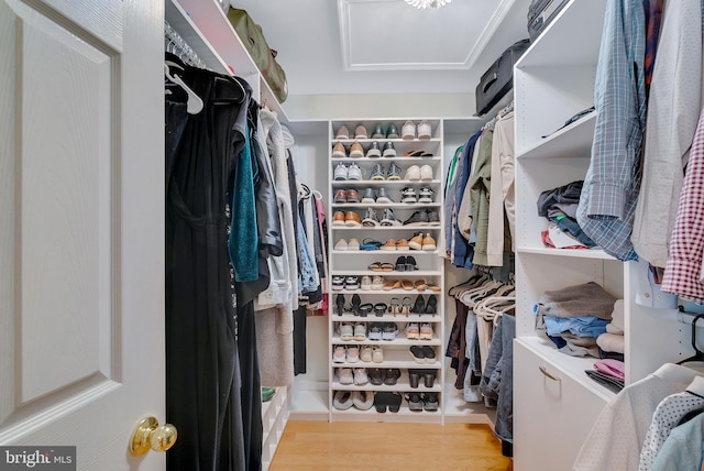21 Viburnum Ct, Lafayette Hill, PA 19444 - walk in closet featuring light wood finished floors and attic access