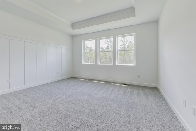 168 Tall Oak Dr, Felton, DE 19943 - spare room with carpet floors and a raised ceiling