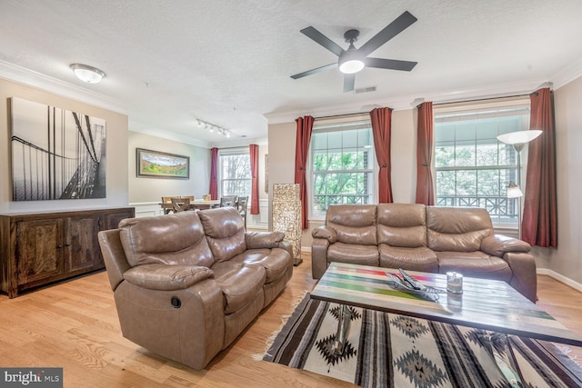 7 Booth St Unit 202, Gaithersburg, MD 20878 - living area with crown molding, a textured ceiling, light wood-type flooring, ceiling fan, and rail lighting
