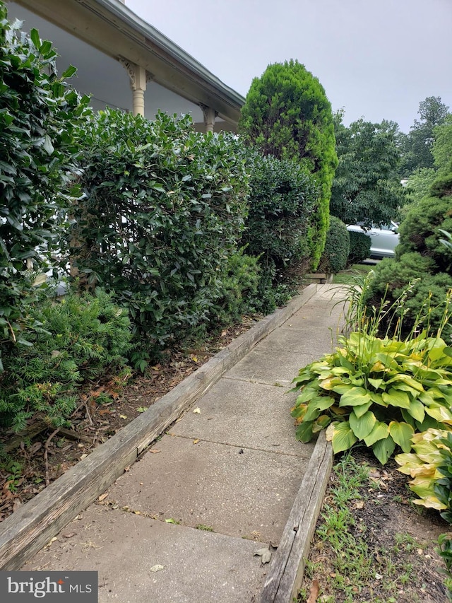 15021 Mcknew Rd, Burtonsville, MD 20866 - view of yard