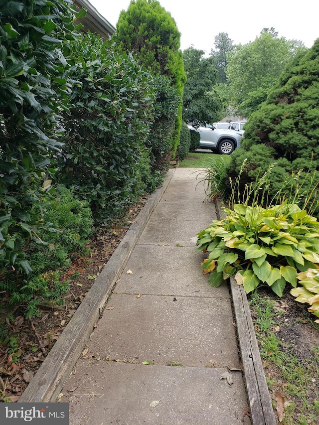 15021 Mcknew Rd, Burtonsville, MD 20866 - view of yard