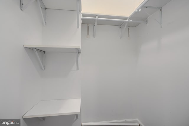 930 Washington Blvd, Baltimore, MD 21230 - view of spacious closet
