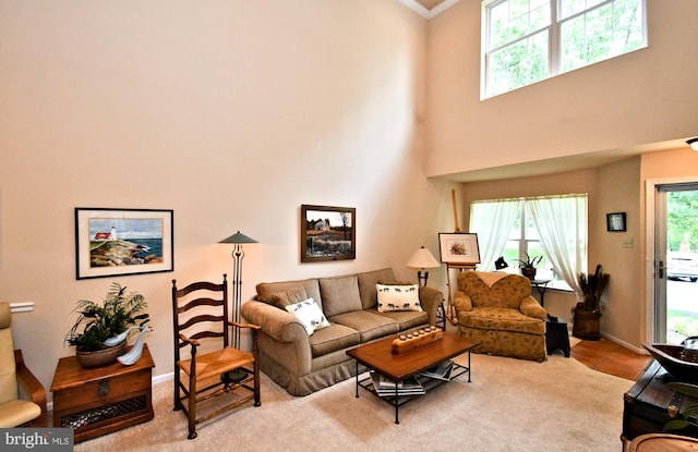 1015 Greenes Way Cir, Collegeville, PA 19426 - carpeted living room with a towering ceiling, ornamental molding, and tile patterned flooring