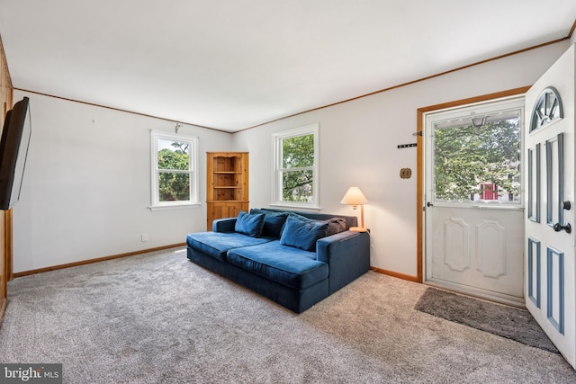 515 N Walnut Ave, Magnolia, NJ 08049 - living room with carpet floors and baseboards