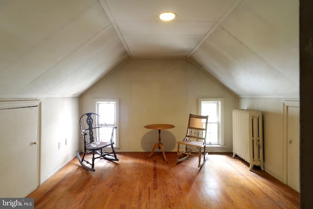 320 Hartswick Ave, State College, PA 16803 - living area featuring radiator heating unit, light wood finished floors, lofted ceiling, and healthy amount of natural light