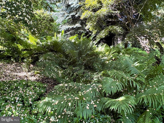 320 Hartswick Ave, State College, PA 16803 - view of nature