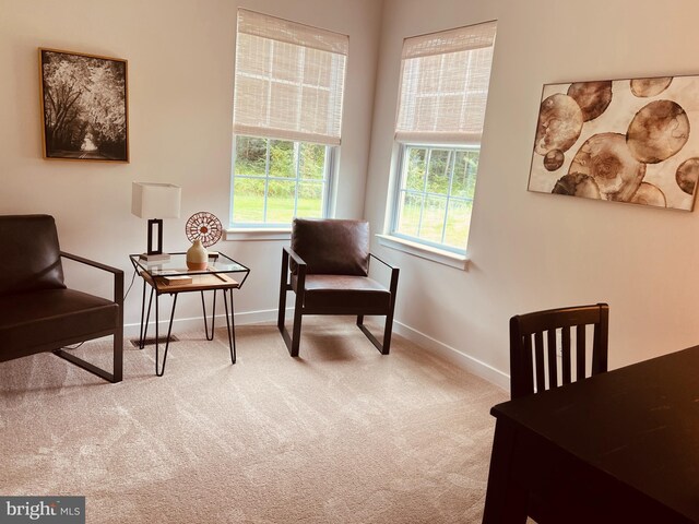 340 Coralroot Dr, Townsend, DE 19734 - living area featuring carpet flooring and baseboards