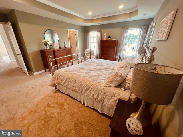 340 Coralroot Dr, Townsend, DE 19734 - bedroom featuring a raised ceiling, carpet, crown molding, and recessed lighting