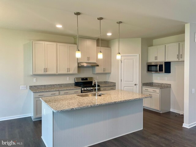 340 Coralroot Dr, Townsend, DE 19734 - kitchen with under cabinet range hood, appliances with stainless steel finishes, dark wood-style flooring, a kitchen island with sink, and light stone countertops
