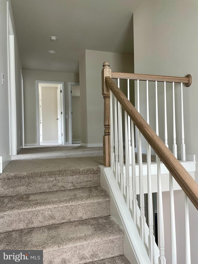 340 Coralroot Dr, Townsend, DE 19734 - staircase with carpet
