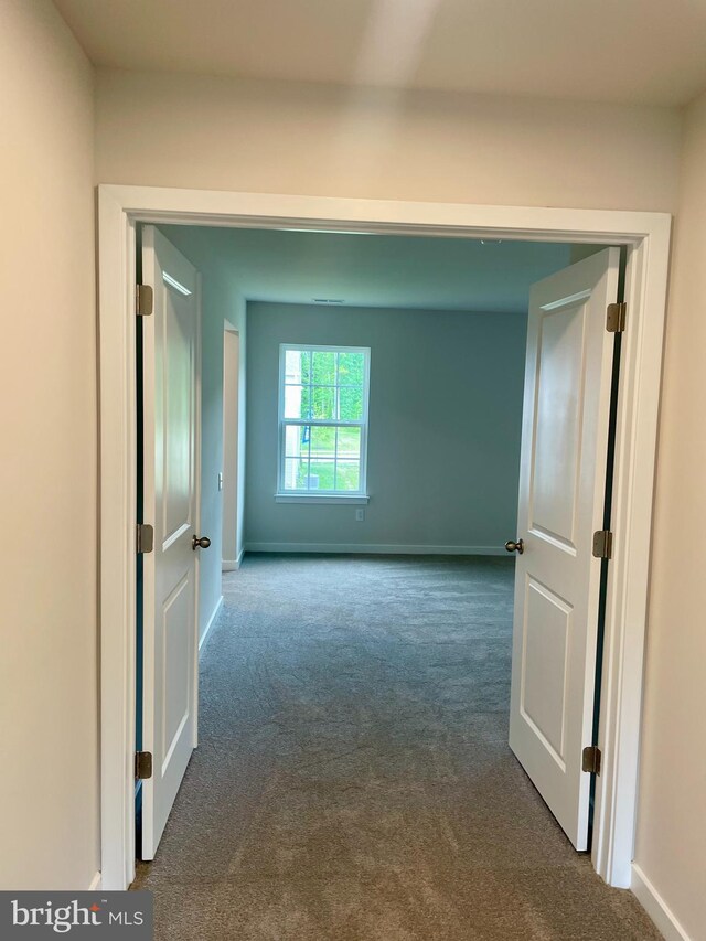 340 Coralroot Dr, Townsend, DE 19734 - hallway with dark colored carpet and baseboards